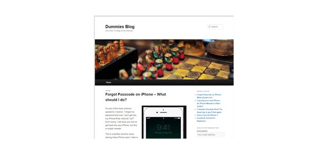 Dummies Blog